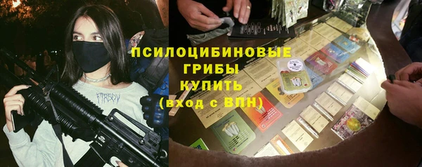 СК Богородск