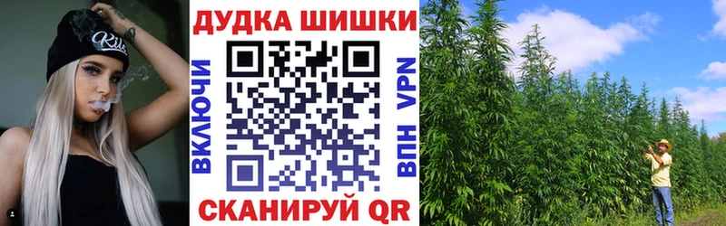 Шишки марихуана ГИДРОПОН  купить наркотики цена  Раменское 
